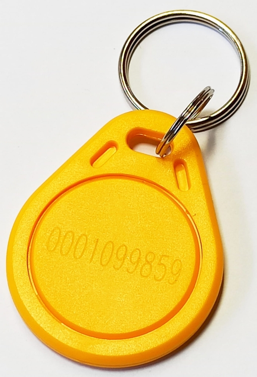 yellow.jpg