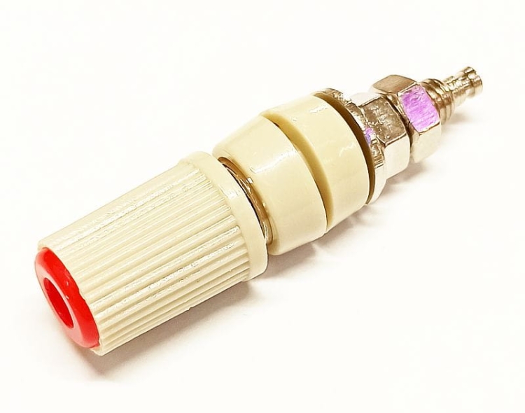 24.827.1 gniazdo bananowe czerwone.jpg