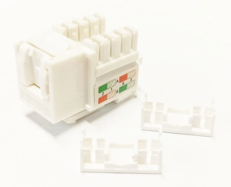 gniazdo keystone.jpg